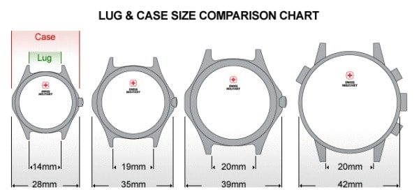 Lug and case size comparison